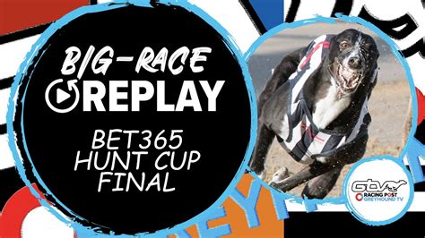 bet365 greyhound results